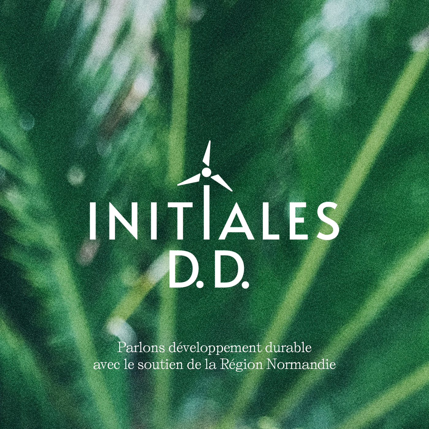 Initiales D.D.