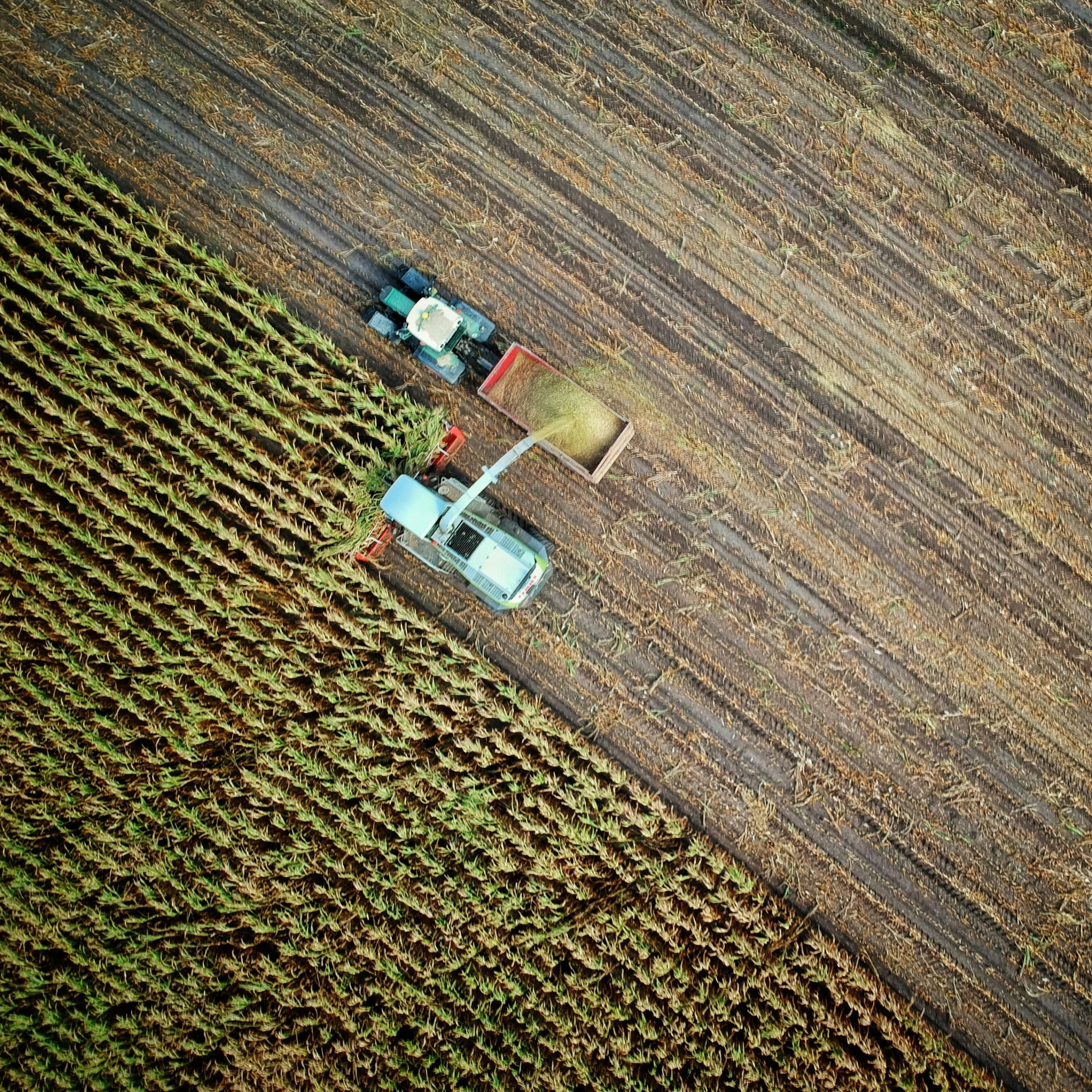 La crise agricole, ses enjeux et son traitement médiatique episode artwork