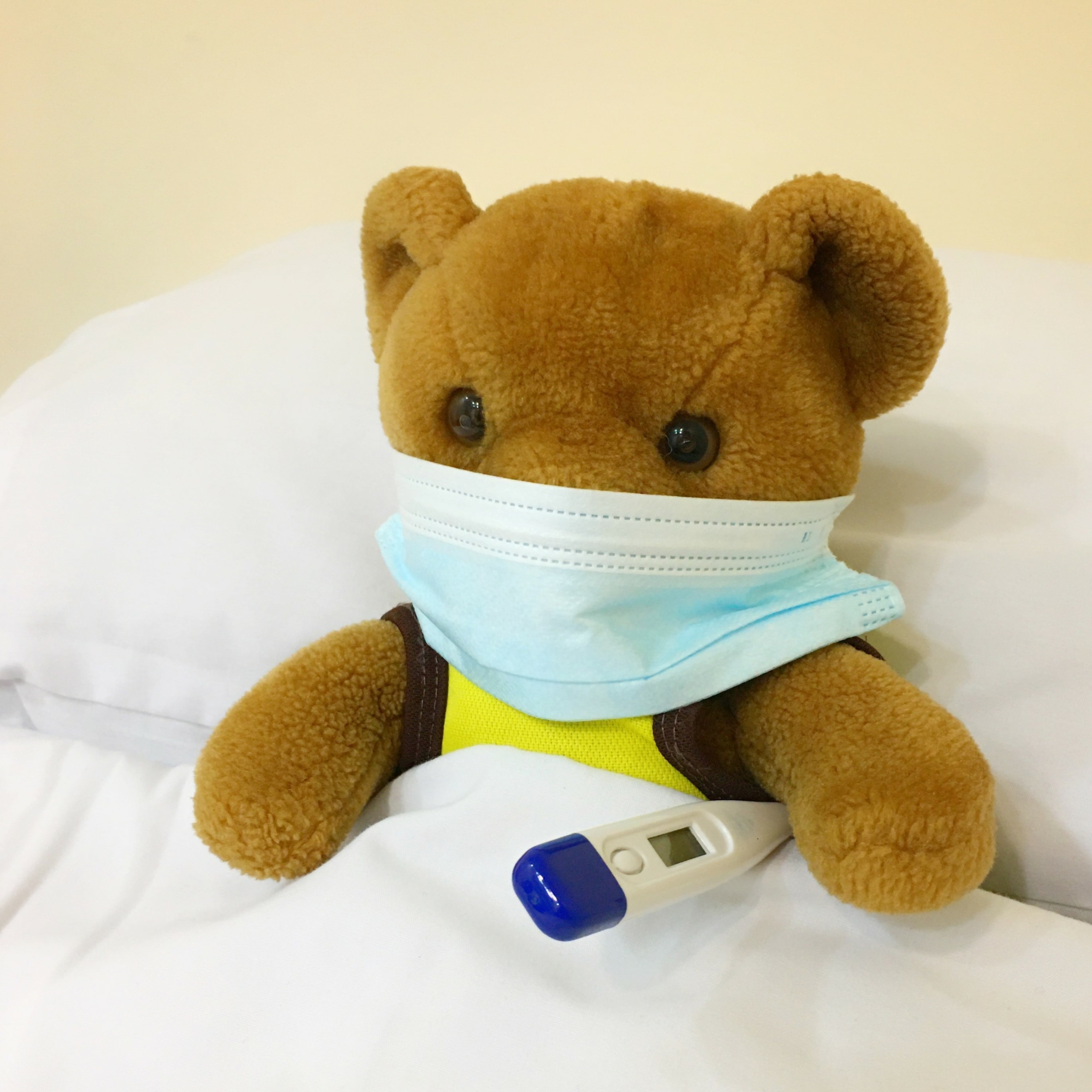 Opération Hôpital des nounours avec Marion Stevenot episode artwork