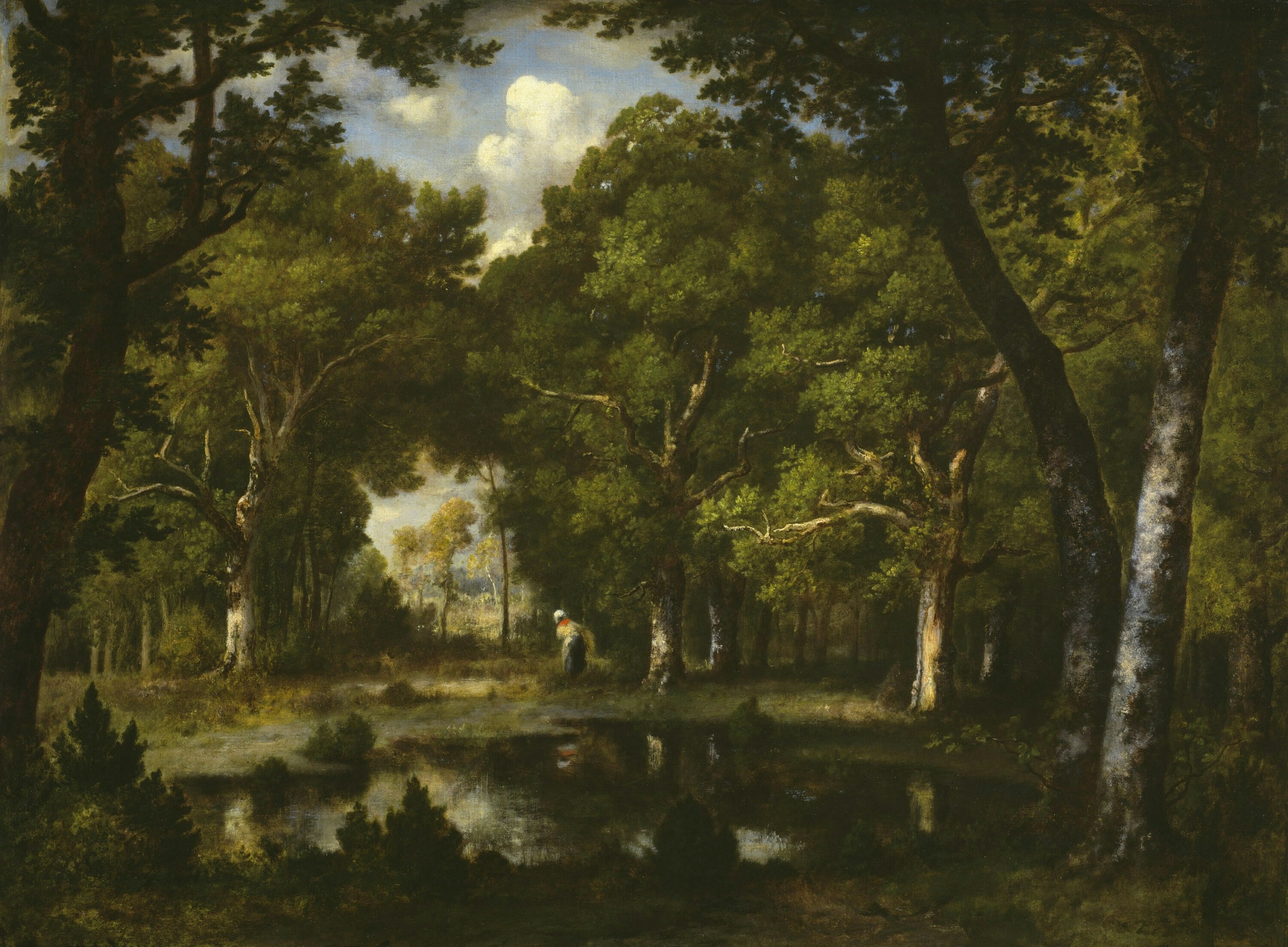 Le festival Forêt en scène avec l’ONF episode artwork