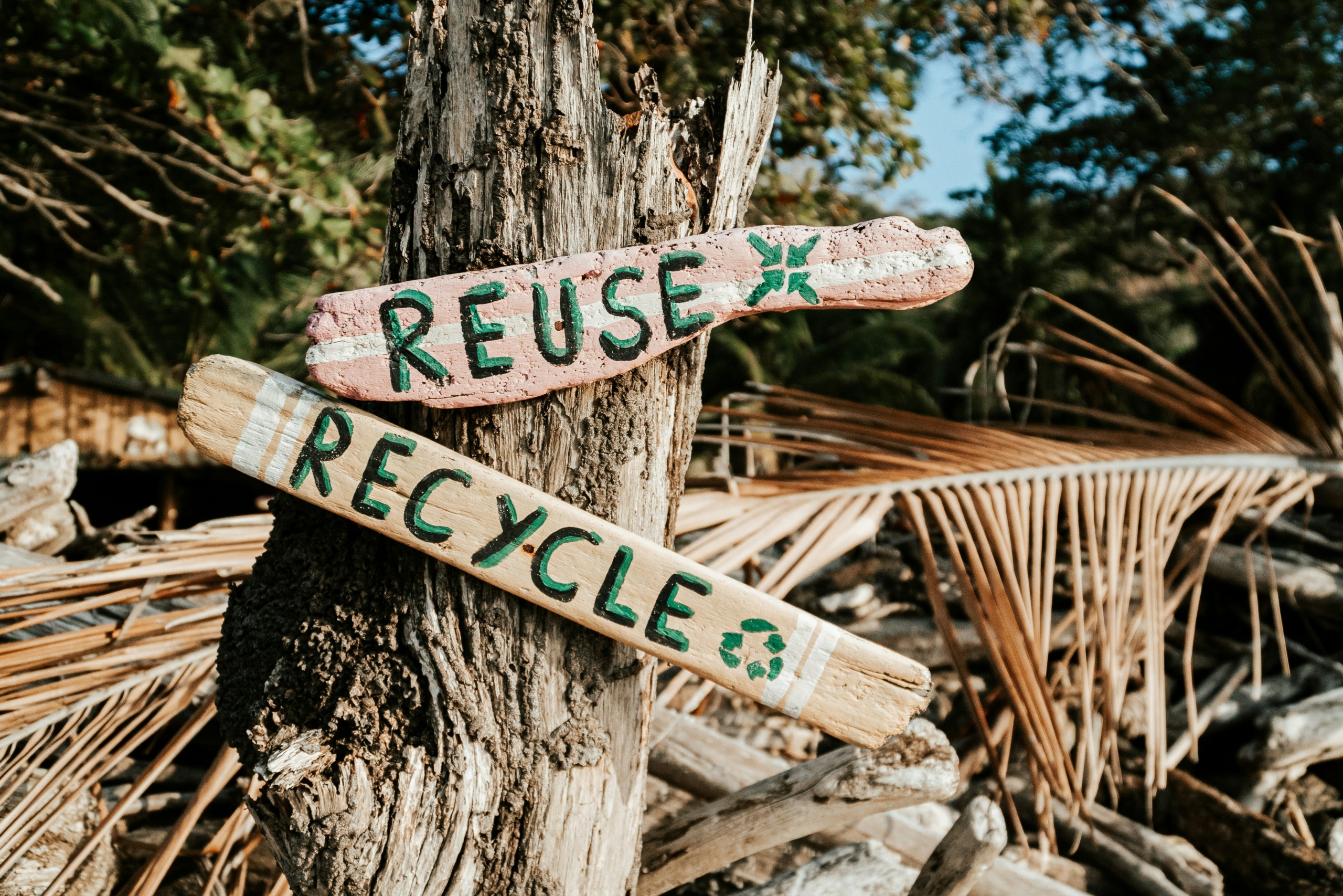 Les pratiques vertueuses pour une transition écologique participative